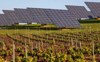 Los 6.000 megavatios de energía solar comprometidos por la Comunitat Valenciana para 2030 requerirían solo un 10% de las tierras abandonadas